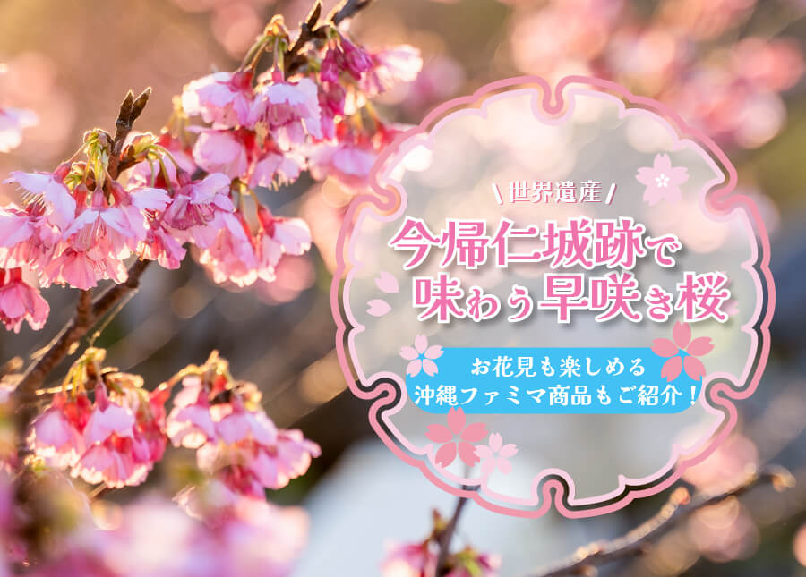 今帰仁城跡 桜まつり 沖縄ファミマ